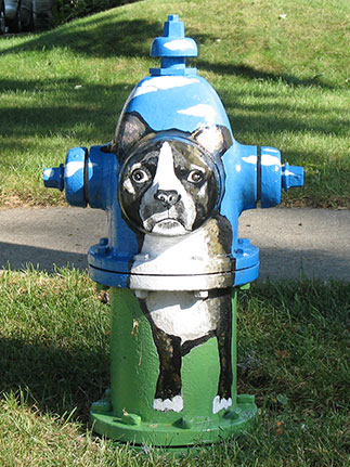 240 E. Oak - Hi Little Fella